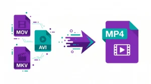Free online video converter — convert MP4 MOV AVI MKV without installing software